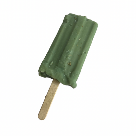 SLIME TIME POPSICLE BAR SOAP